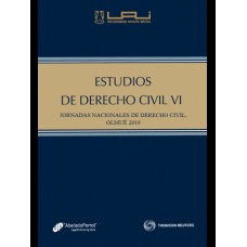 ESTUDIOS DE DERECHO CIVIL VI 